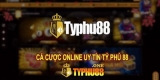 Thông tin D9bet bị chặn là thật hay giả? Tìm hiểu cùng typhu888.org